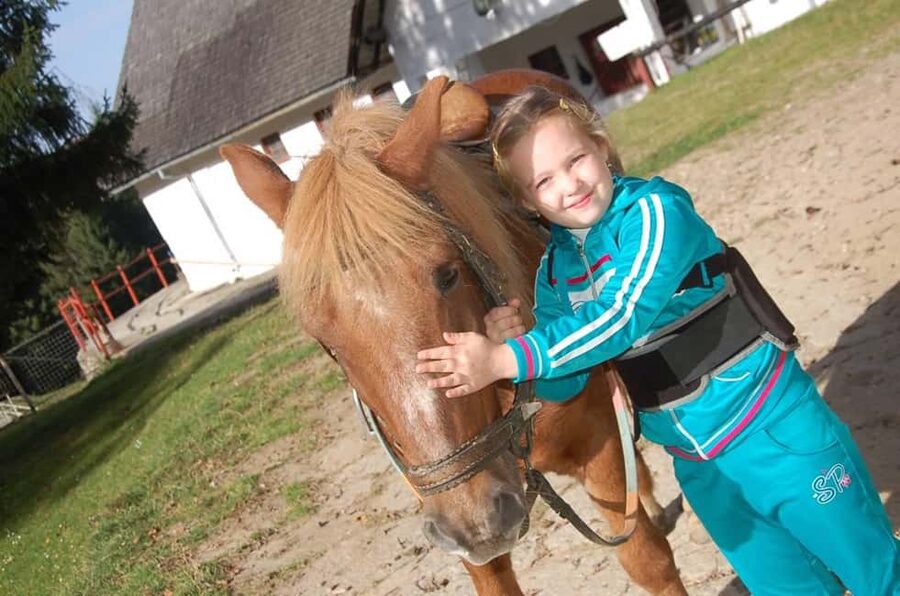 Brașov: Horseback Riding Experience - What makes the private format useful