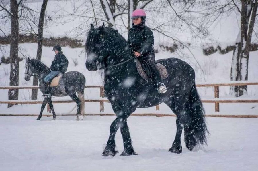 Brașov: Horseback Riding Experience - How to plan your three hours