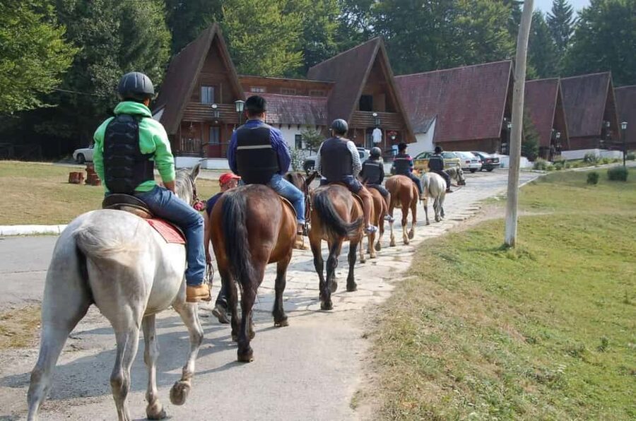 Brașov: Horseback Riding Experience - Meeting the horses and staff