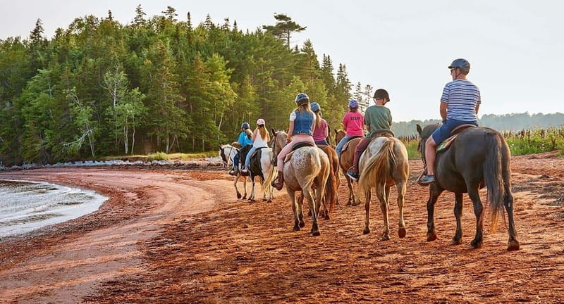 Brudenell: Family-Friendly Horse Ride goes on the Beach - What the 45 Minutes Really Includes