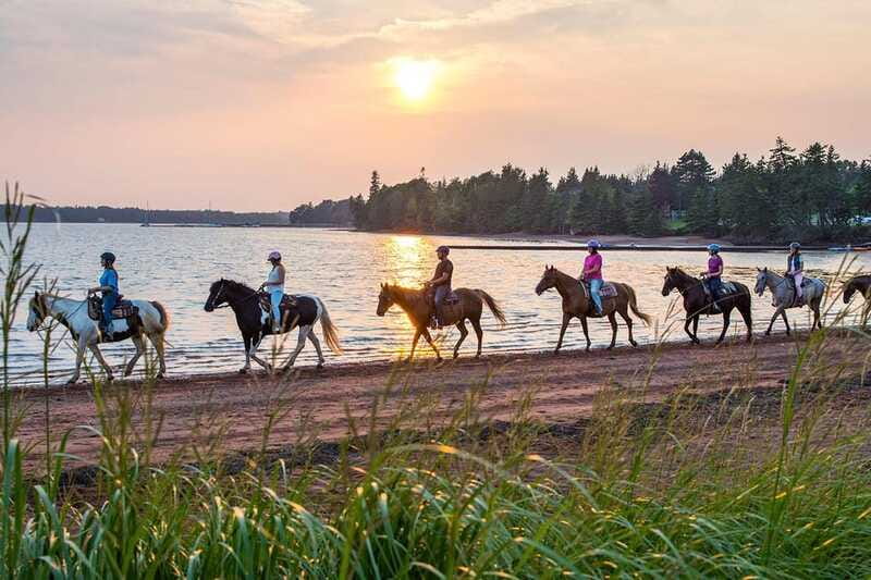 Brudenell: Family-Friendly Horse Ride goes on the Beach - What to Wear and What to Leave Behind