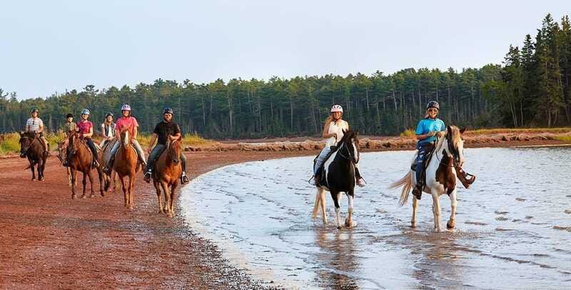 Brudenell: Family-Friendly Horse Ride goes on the Beach - Is $47 a Fair Price?