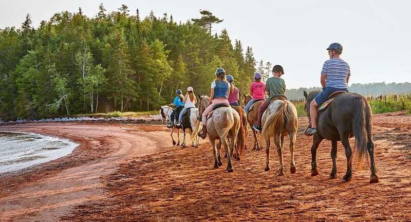 Brudenell: Family-Friendly Horse Ride goes on the Beach - My Booking Advice