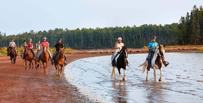 Brudenell: Family-Friendly Horse Ride goes on the Beach - Calm Horses and Beginner-Level Riding