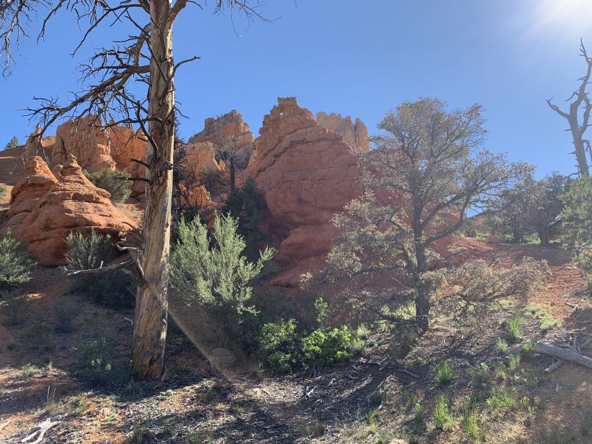 Bryce Canyon City: Horseback Riding Tour in Red Canyon - Key points to know before you book