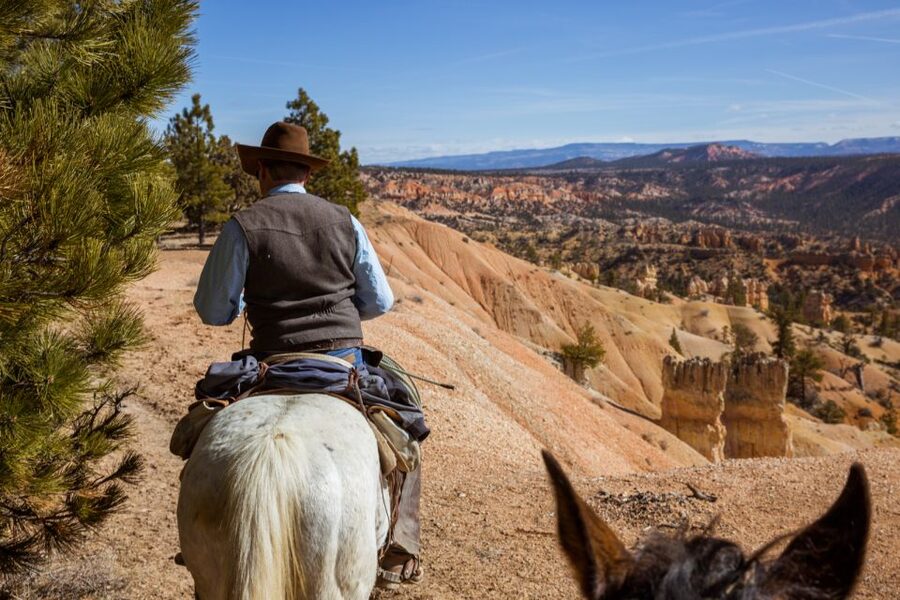 Bryce Canyon: Horseback Ride in the Dixie National Forest - A gentle ride from Ruby’s Inn to the canyon rim