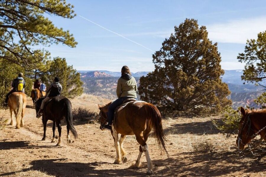 Bryce Canyon: Horseback Ride in the Dixie National Forest - Bristlecone pines and high-country scenery