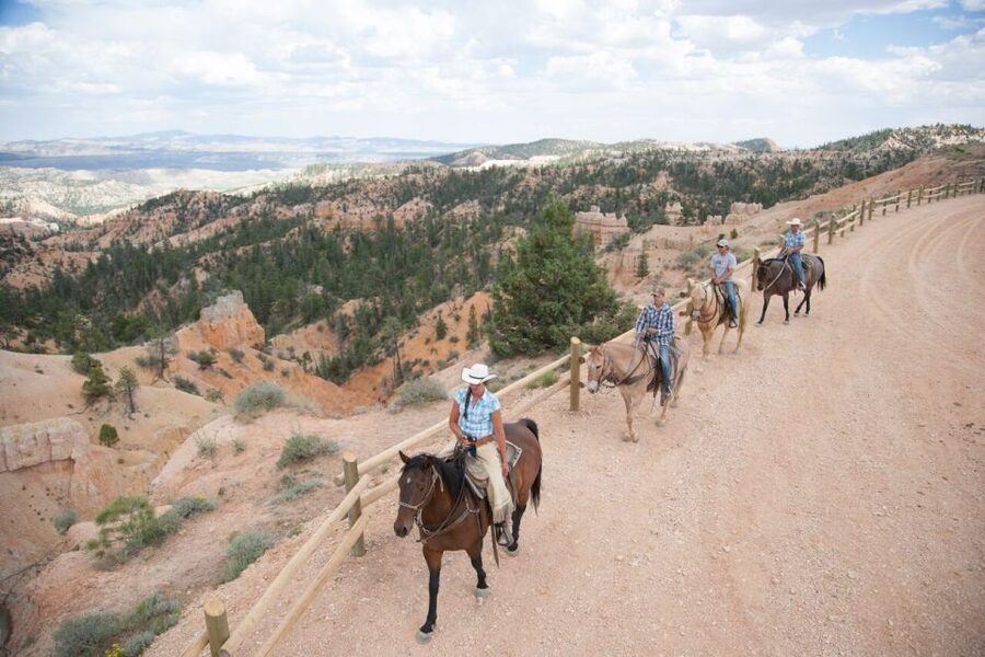 Bryce Canyon: Horseback Ride in the Dixie National Forest - Who should book this ride?