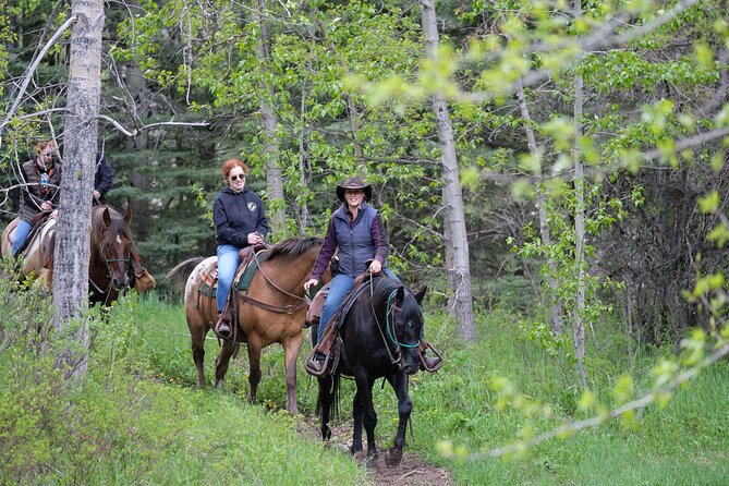 Buffalo Loop 1-Hour Horseback Trail Ride in Kananaskis - Key points to know before you book