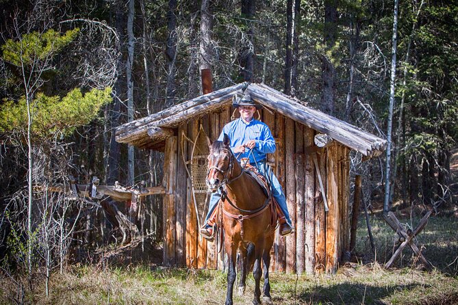 Buffalo Loop 1-Hour Horseback Trail Ride in Kananaskis - Starting at Boundary Ranch