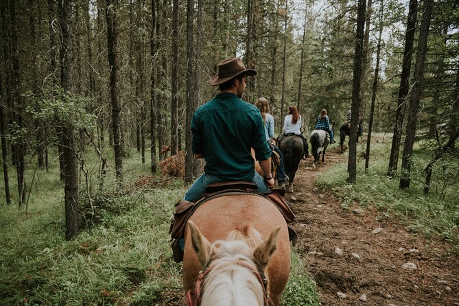 Buffalo Loop 1-Hour Horseback Trail Ride in Kananaskis - What the one-hour pace feels like