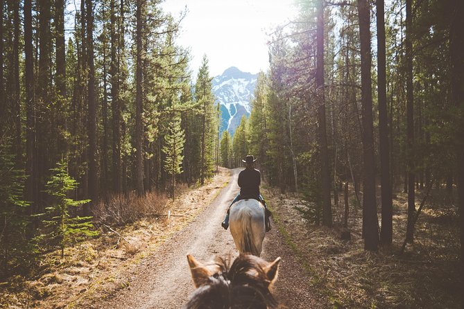Buffalo Loop 1-Hour Horseback Trail Ride in Kananaskis - Following the Buffalo Loop