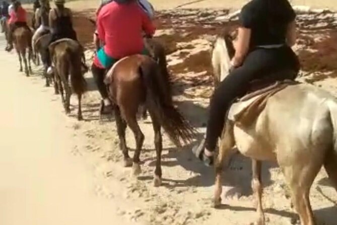 Buggies & Horses in Punta Cana: Double the Thrill in One Tour - The buggy ride: mud, water, and open-air fun