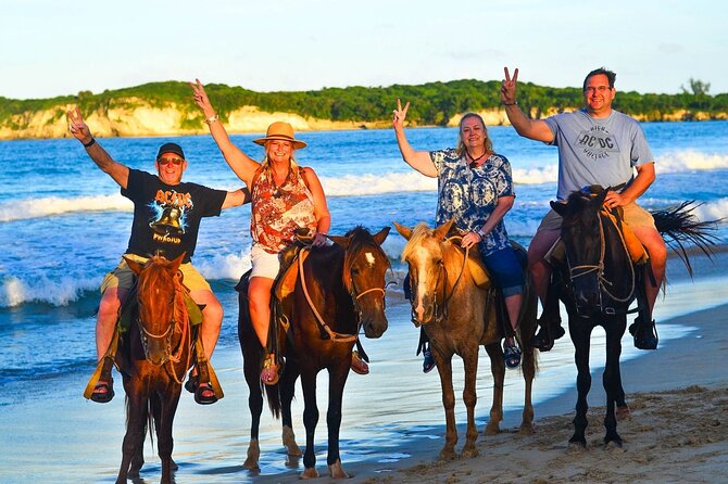 Buggy, horse and plantation ranch - Is $65 a fair price?