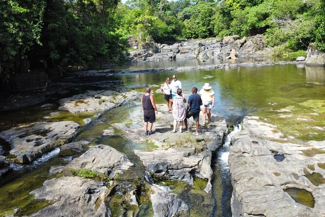 Buggy Ride, Horseback, Zipline,Eco Farm,Macao Beach - Ziplining among the trees