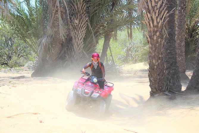 Cabo Desert ATV & Beach Horseback Combo enjoy adventure and beauty! - What the transport adds, and where it can fail