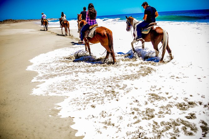 Cabo Desert ATV & Beach Horseback Combo enjoy adventure and beauty! - Who will enjoy this Cabo outing