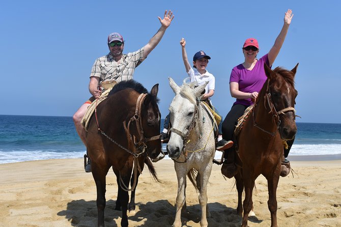 Cabo Desert Off-Road & Beach Horseback Combo and Tequila Tasting - What the $100 price really covers