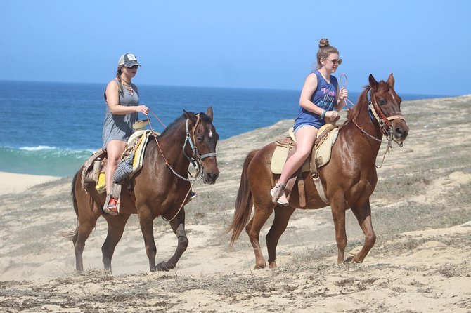 Cabo Desert Off-Road & Beach Horseback Combo and Tequila Tasting - Who will enjoy this Cabo combo most