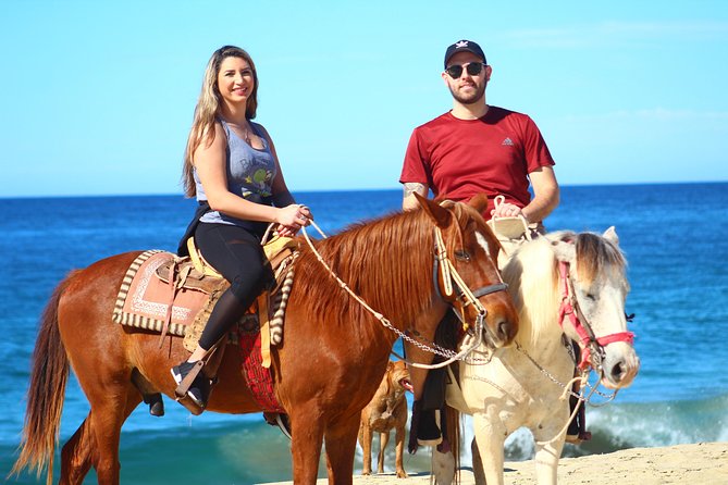 Cabo Desert Off-Road & Beach Horseback Combo and Tequila Tasting - Horseback riding beside the white-sand beach