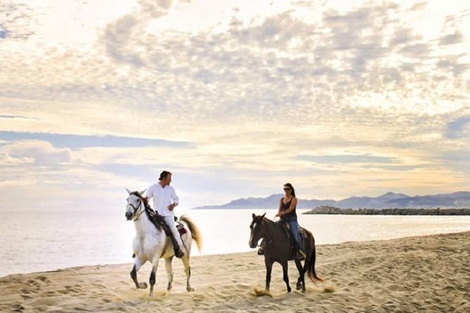 Cabo San Lucas Beach and Desert Horseback Ride - Key points to know before booking