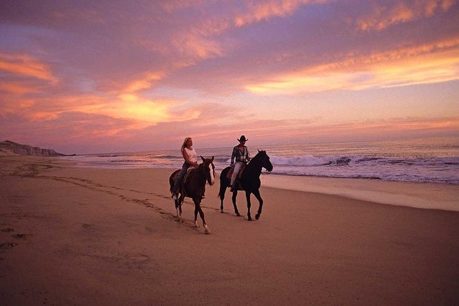 Cabo San Lucas Beach and Desert Horseback Ride - The approach to Playa Migrino