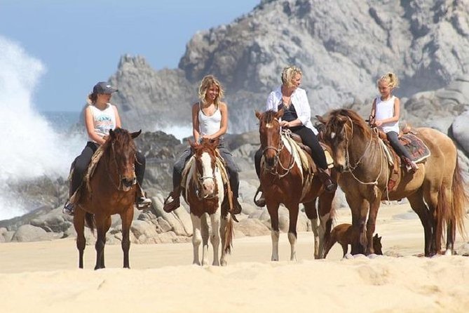 Cabo San Lucas Beach and Desert Horseback Ride - Horses, safety, and an important caveat