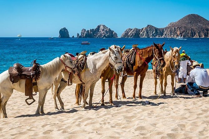 Cabo San Lucas Beach and Desert Horseback Ride - What the $67.50 price really includes