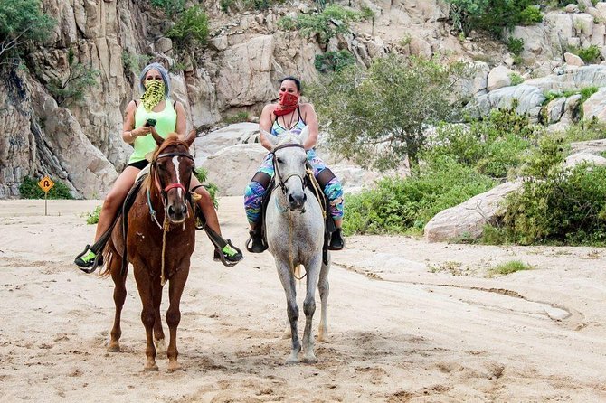 Cabo San Lucas Beach and Desert Horseback Ride - Meeting the horses and learning the basics