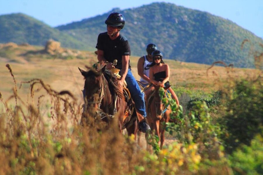 Cabo San Lucas: Beach & Desert Horseback Riding Tour - Who should book this horseback ride?