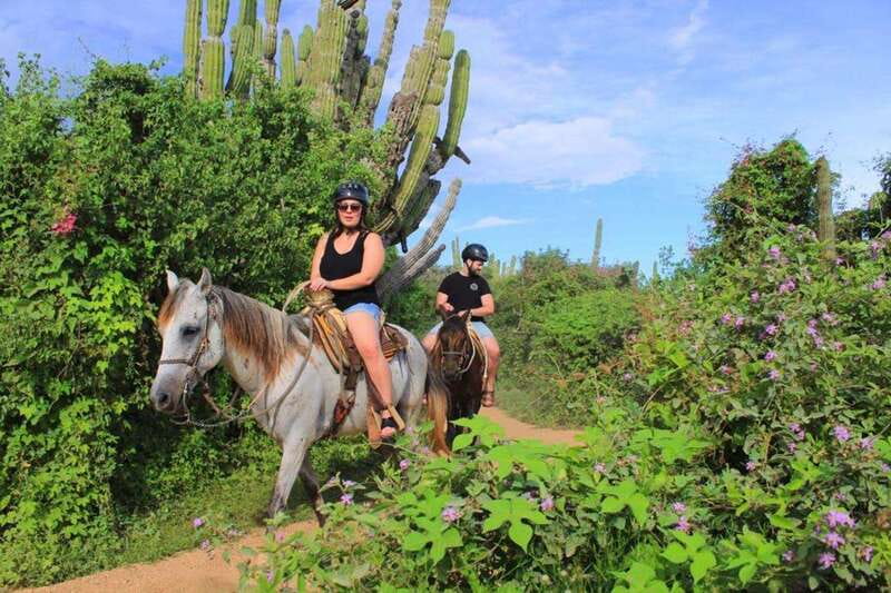Cabo San Lucas: Beach & Desert Horseback Riding Tour - Riding from Cabo into Baja’s Pacific country