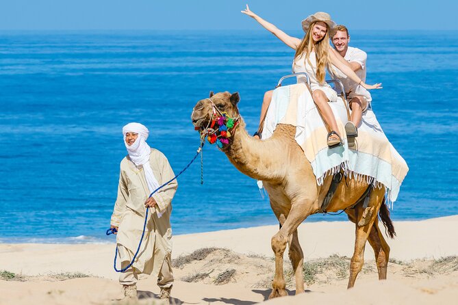 Cabo San Lucas Camel and Horseback Ride with ATV Adventure - Camel time beside Migriño Beach