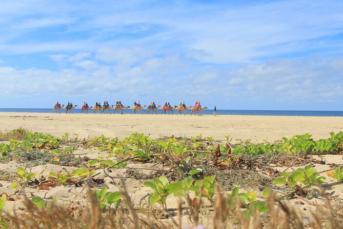 Cabo San Lucas Camel and Horseback Ride with ATV Adventure - Horseback riding with the ocean nearby