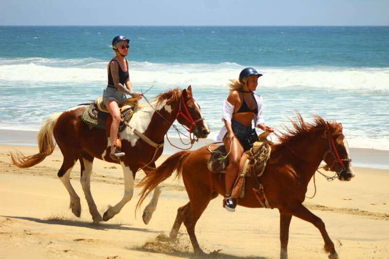 Cabo San Lucas: Horseback Riding in Migriño with Transfers - Rocky trails, desert plants, and Baja wildlife