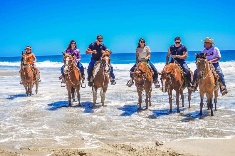 Cabo San Lucas: Horseback Riding in Migriño with Transfers - The base stop, tequila tasting, and photo sales