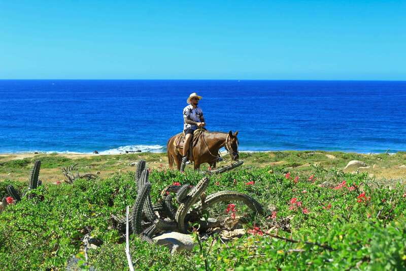 Cabo San Lucas: Horseback Riding in Migriño with Transfers - Who will enjoy this horseback outing most