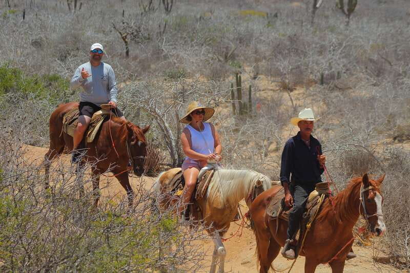 Cabo San Lucas: Horseback Riding in Migriño with Transfers - Value, practical limits, and cancellation flexibility