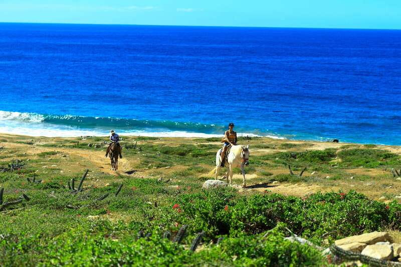 Cabo San Lucas: Horseback Riding in Migriño with Transfers - Getting settled at the Migriño riding base