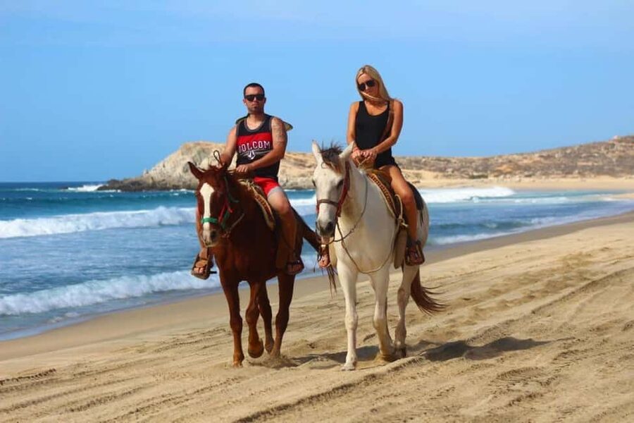 Cabo San Lucas: Horseback Riding on the Beach Experience - Key points to know before booking