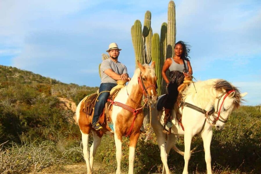 Cabo San Lucas: Horseback Riding on the Beach Experience - From Cabo to Migriño by hotel pickup
