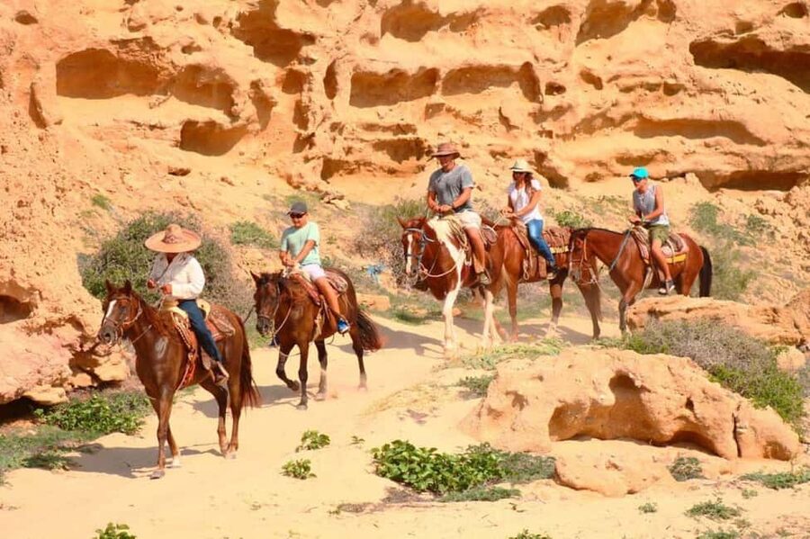 Cabo San Lucas: Horseback Riding on the Beach Experience - Gray whales during the right season