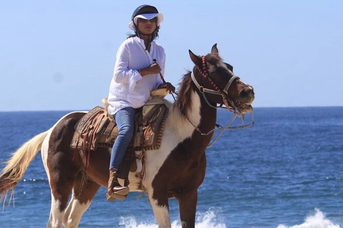 Cabo San Lucas Sunset Horseback Ride on the Beach - Key points to know before booking
