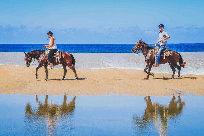 Cabo Shore Excursion: Beach Horseback Ride & Tequila Tasting - From Cabo’s port to Migrino Beach