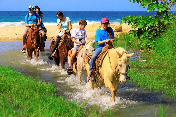 Cabo Shore Excursion: Beach Horseback Ride & Tequila Tasting - The guides are the heart of the experience