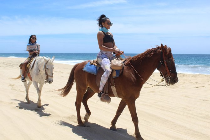 Cabo White Sand Horseback Riding Tour and Tequila Tasting - Hotel pickup, van time, and the real length of the outing