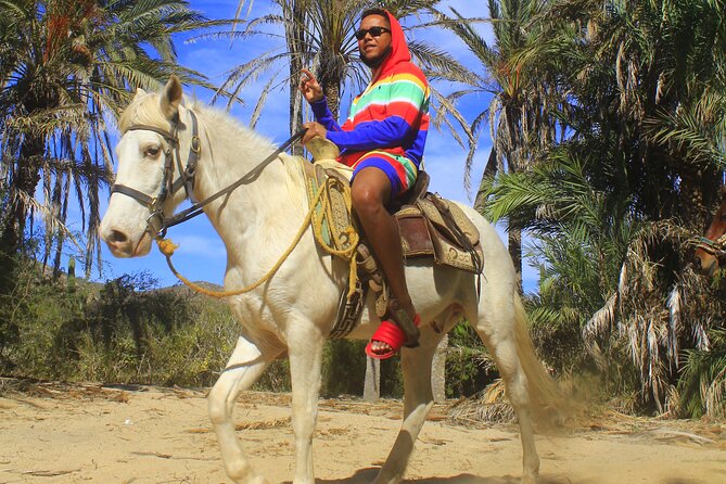 Cabo White Sand Horseback Riding Tour and Tequila Tasting - The $85 price and the extra costs