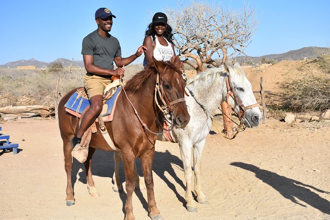 Cabo White Sand Horseback Riding Tour and Tequila Tasting - Practical ways to have a better ride