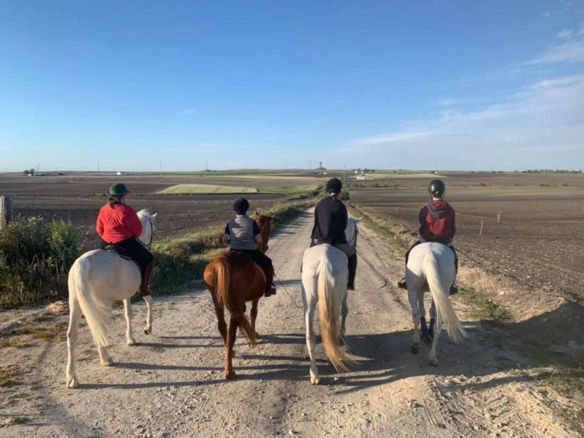 Cádiz Country side: Ride an Andalusian Horse - Riding an Andalusian horse in the Cádiz countryside