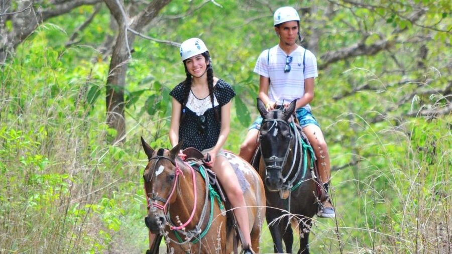 Cádiz Country side: Ride an Andalusian Horse - Learning the basics before you set off