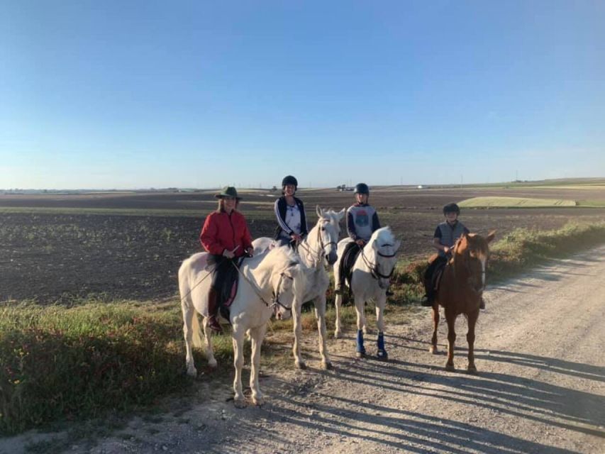 Cádiz Country side: Ride an Andalusian Horse - Why the small group matters